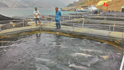 Công trình thu nước trong nông nghiệp